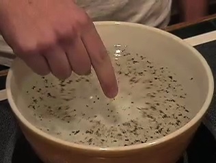 Scared Pepper