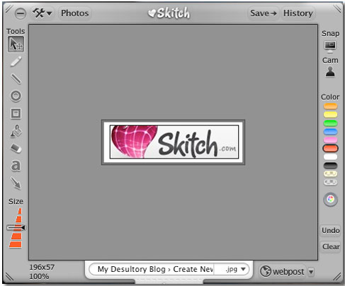 skiichcaputer