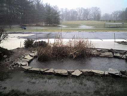 Spring Rain