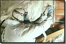 Bio Foam Insulation