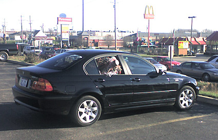 BMW with Christmas Tree