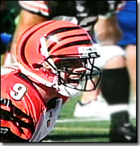 Carson Palmer