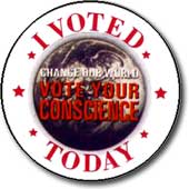 I Voted Today graphic