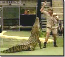 Steve Irwin and son